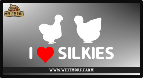 Silkies Decal