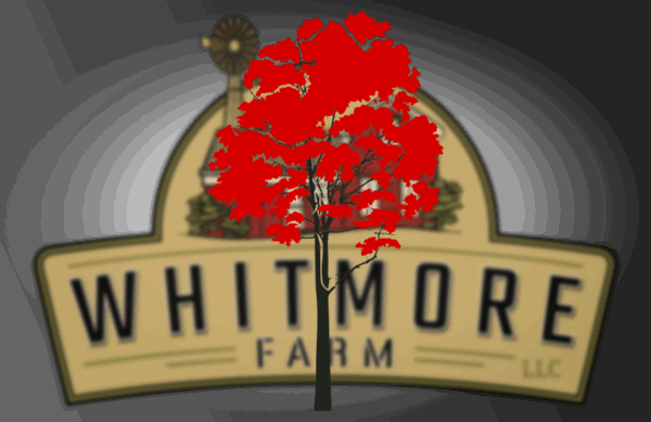 Maple Tree with Grass Painting and Airbrush Stencil