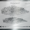 Murray Cod v1 Mesh Fishing Lure Airbrush Stencil